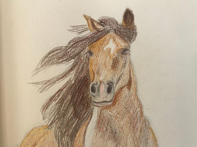 How to draw a cantering horse