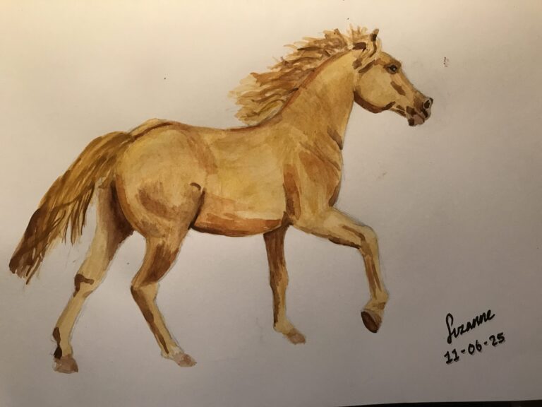 Drawing a horse I know 2.0 – Day 3