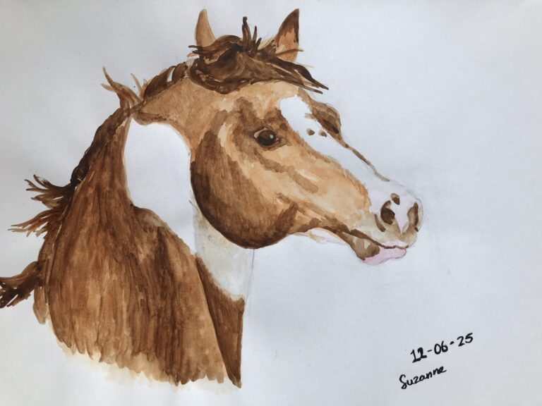 How to draw a skewbald horse in watercolor – Day 4
